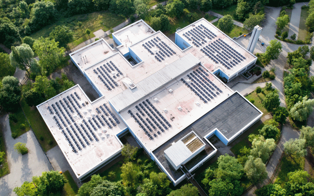 Wie Industriebetriebe von Photovoltaikanlagen profitieren können