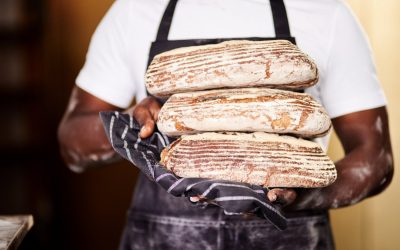 Backen mit Sonnenkraft: Wie das Start-up SOLARBAKERY Brot, Jobs und Hoffnung nach Afrika bringt