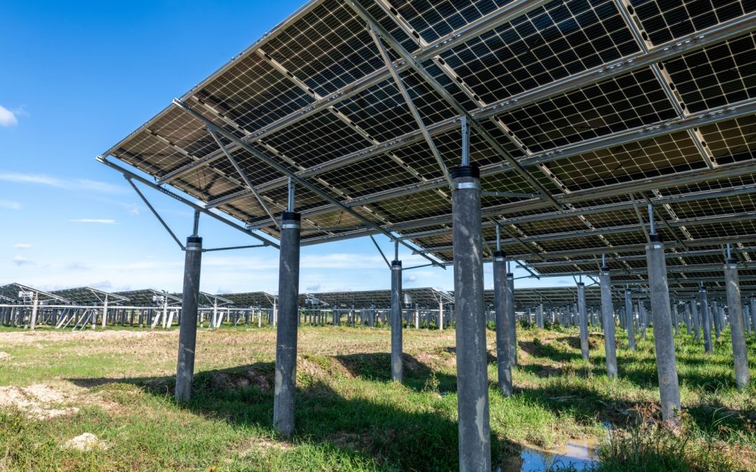 Strom von zwei Seiten: Bifaziale Solarmodule steigern Effizienz und Ertrag